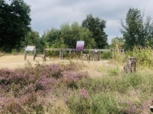 Schilderdagen en plein air op de Strabrechtse heide Heeze
