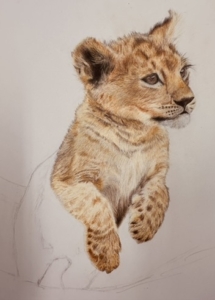 Leren schilderen met plezier in Leende @mariannebaijens