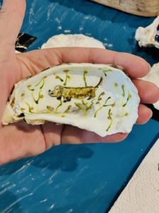 iets je vieren? Exclusieve schilderworkshops oesterschelpen beschilderen op jouw locatie onder begeleiding van Beeldend Kunstenaar Marianne Baijens