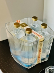 iets je vieren? Exclusieve schilderworkshops oesterschelpen beschilderen op jouw locatie onder begeleiding van Beeldend Kunstenaar Marianne Baijens