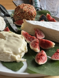 Schildervakantie Dordogne met beeldend kunstenaar Marianne Baijens